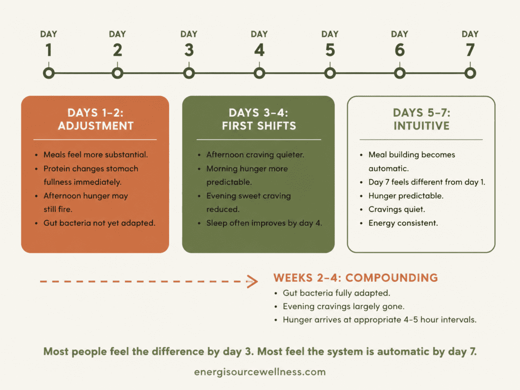 Cravings Control Reset Review: What Is Inside the $27 PDF and Is It Worth It? Timeline of Cravings Control Reset results showing days 1-2 adjustment days 3-4 first shifts and days 5-7 system becoming intuitive