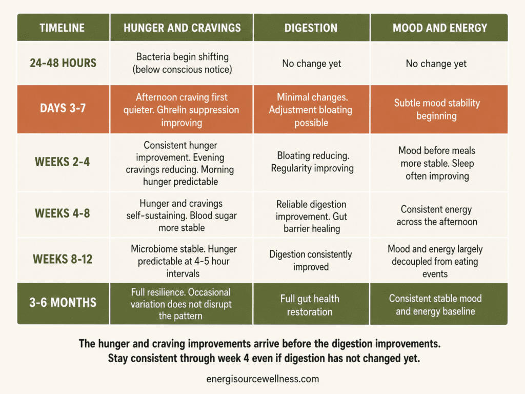 How Long Does It Take to Improve Gut Health? (The Real Timeline for Hunger and Cravings) Week by week gut health improvement timeline table showing hunger craving digestion and mood changes from Mediterranean eating with probiotic and prebiotic foods
