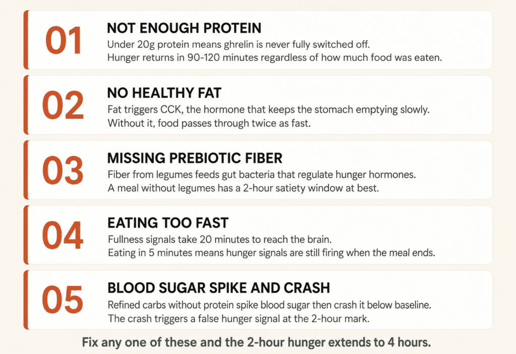 Why Am I Hungry 2 Hours After Eating a Full Meal? (Here Is the Real Reason) Five reasons why meals do not keep you full infographic showing protein deficit fat missing fiber absent eating fast and blood sugar crash
