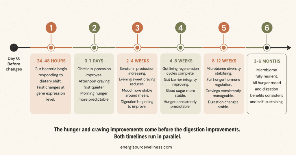 How Long Does It Take to Improve Gut Health? (The Real Timeline for Hunger and Cravings) Gut health improvement timeline infographic showing week by week hunger craving and digestion changes from Mediterranean probiotic and prebiotic eating