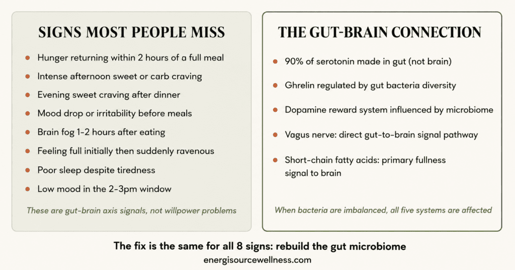 Signs Your Gut Health Is Affecting Your Hunger and Mood (Most People Miss These) Signs your gut health is affecting hunger and mood infographic showing 8 warning signs connecting gut bacteria to afternoon cravings evening mood drops and constant hunger