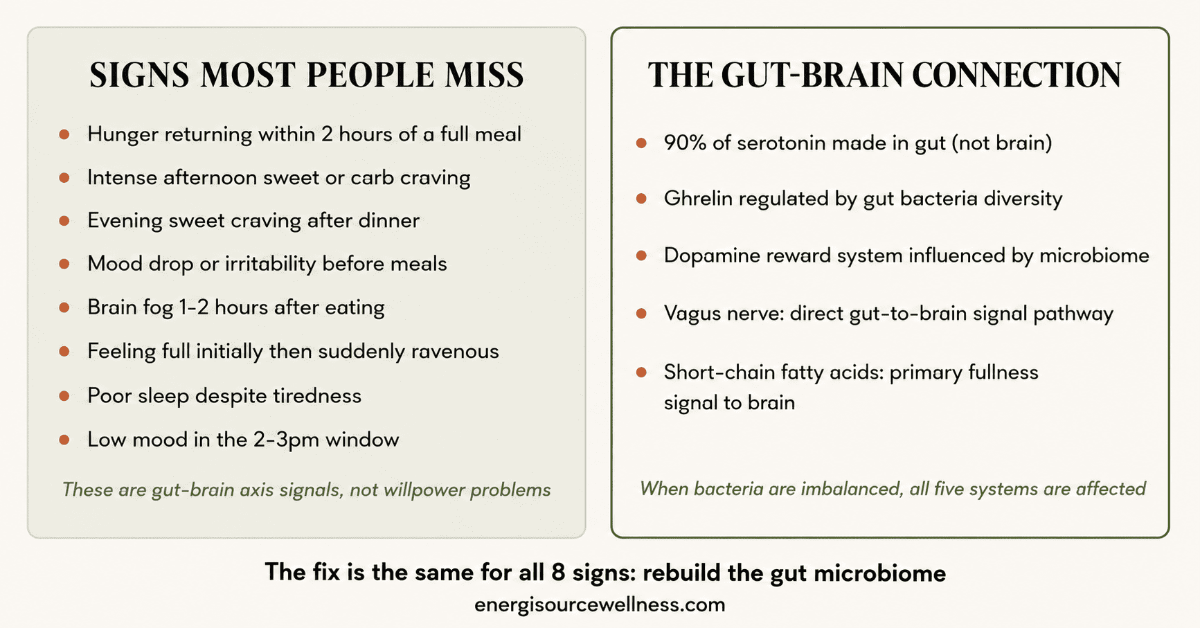 Signs Your Gut Health Is Affecting Your Hunger and Mood (Most People Miss These) Signs your gut health is affecting hunger and mood infographic showing 8 warning signs connecting gut bacteria to afternoon cravings evening mood drops and constant hunger